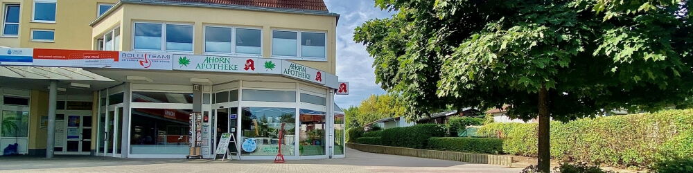 Ahorn-Apotheke - gefärbte Ahornblätter